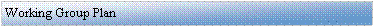 Text Box: Working Group Plan