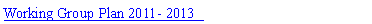 Text Box: Working Group Plan 2011- 2013  