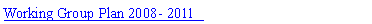 Text Box: Working Group Plan 2008- 2011  