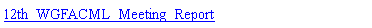 Text Box: 12th_WGFACML_Meeting_Report