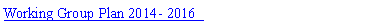 Text Box: Working Group Plan 2014- 2016  