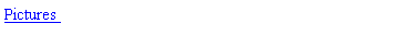 Text Box: Pictures 