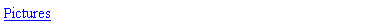 Text Box: Pictures