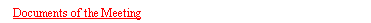 Text Box: Documents of the Meeting